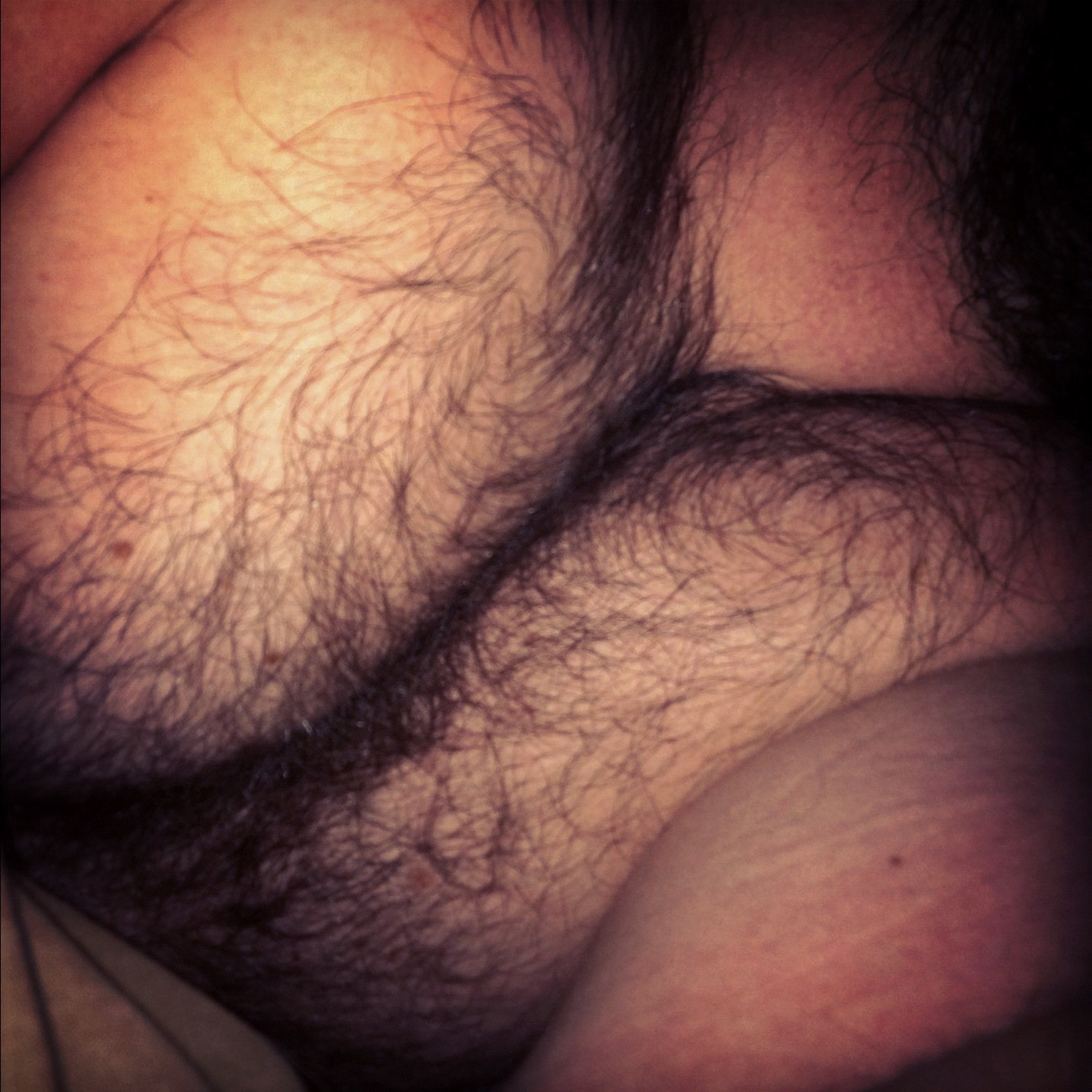 My Hairy Ass 5
